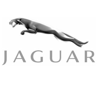 Roll bar Jaguar